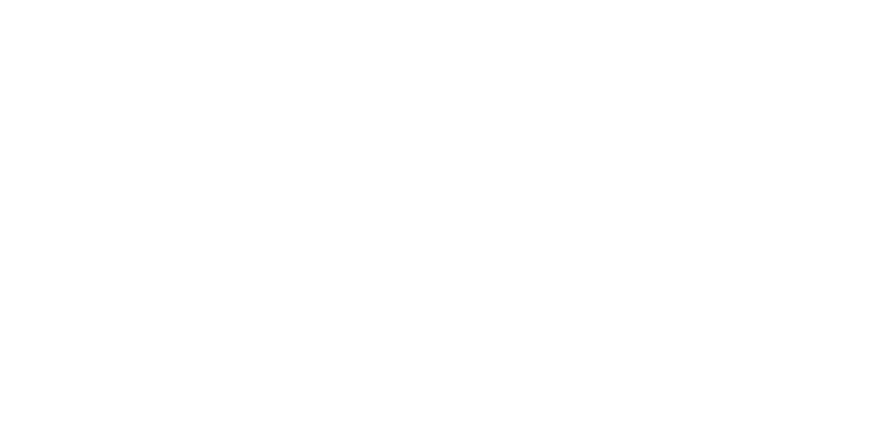 Fidelity